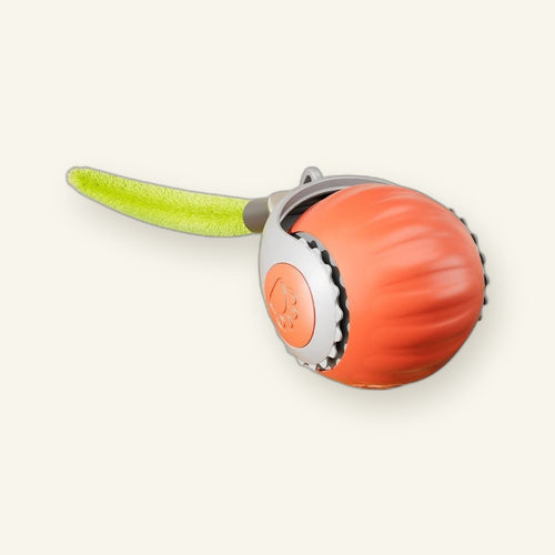 Automatic Rolling Cat Ball