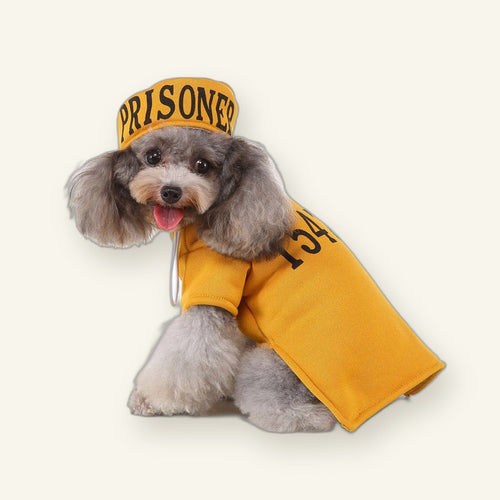 Christmas Dog Jumper