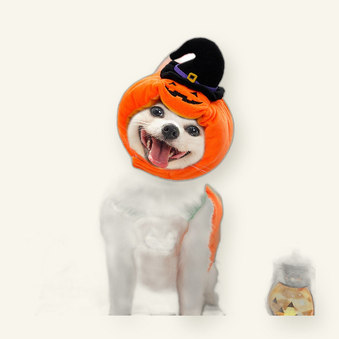 Halloween Pumpkin Pet Costume