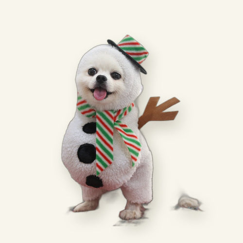 Christmas Dog Costume