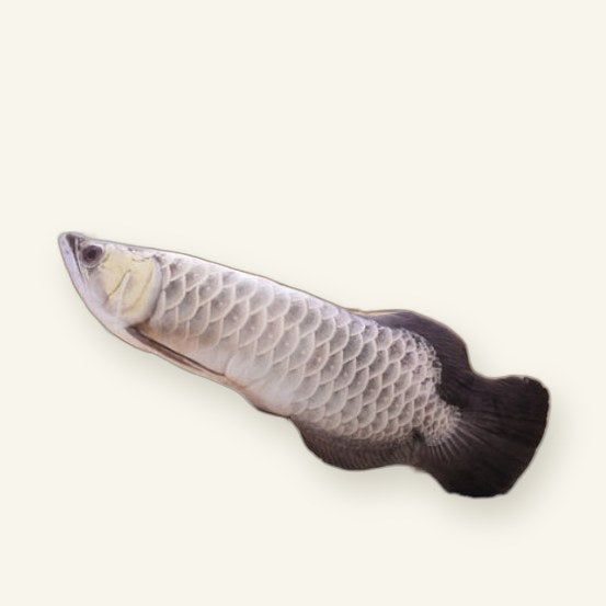 Fish Plush Cat Toy