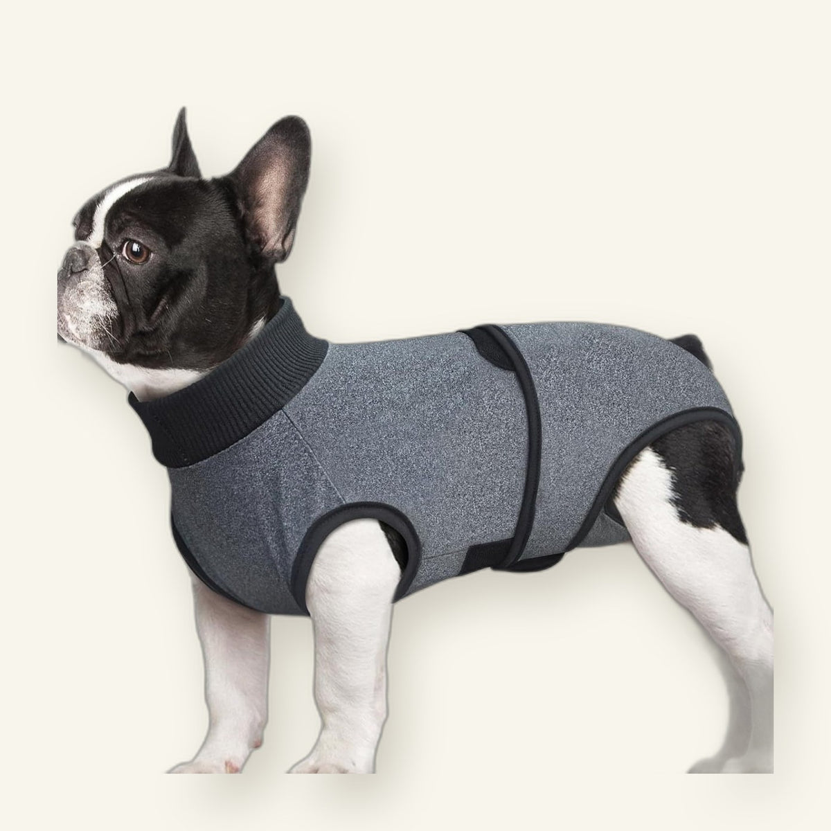 Dog Recovery Suit