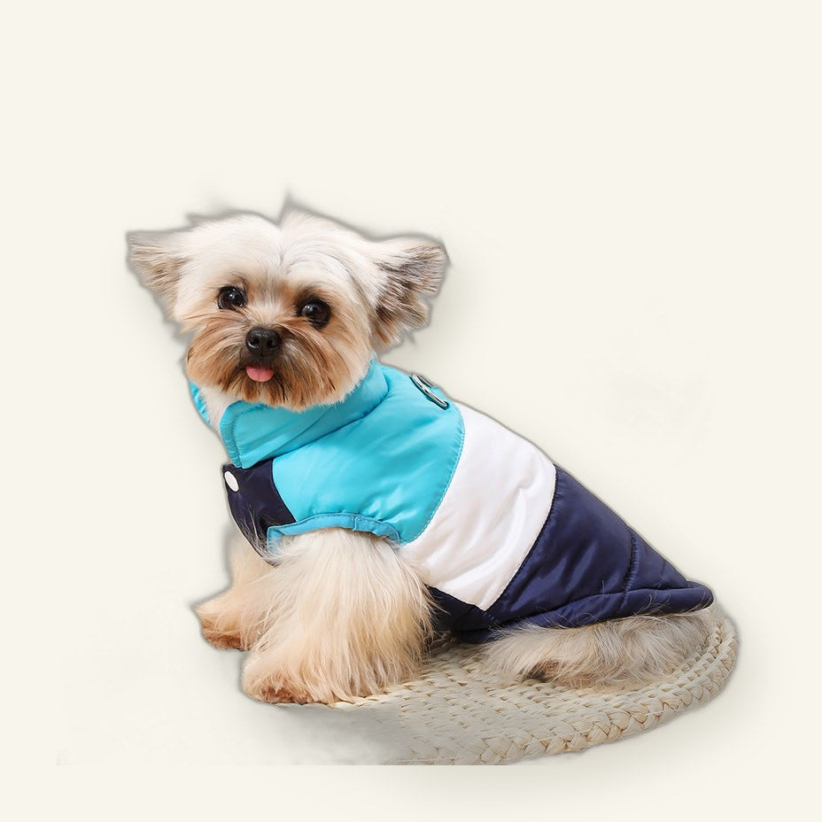 Dog Winter Coat with Lead