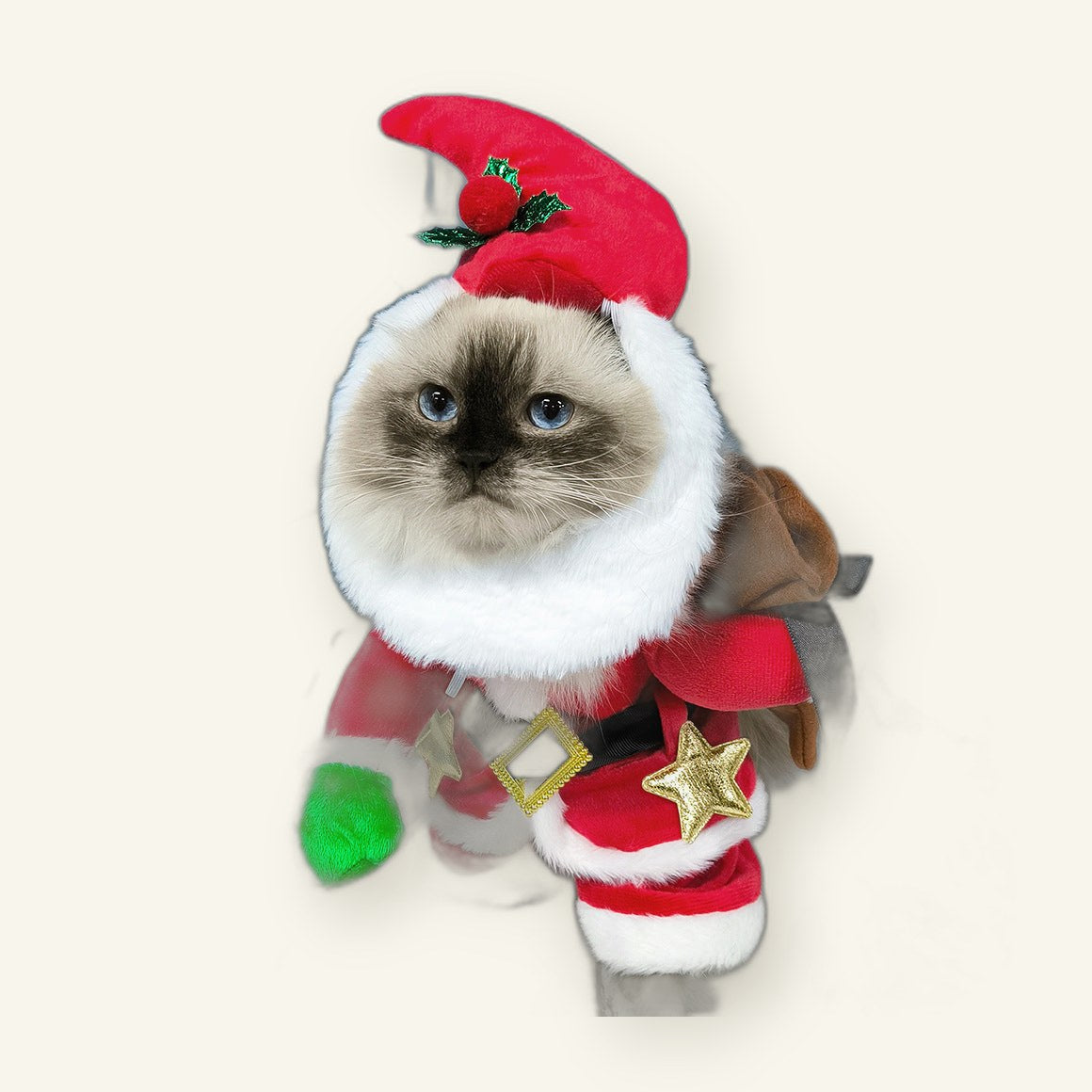 Santa Pet Costume