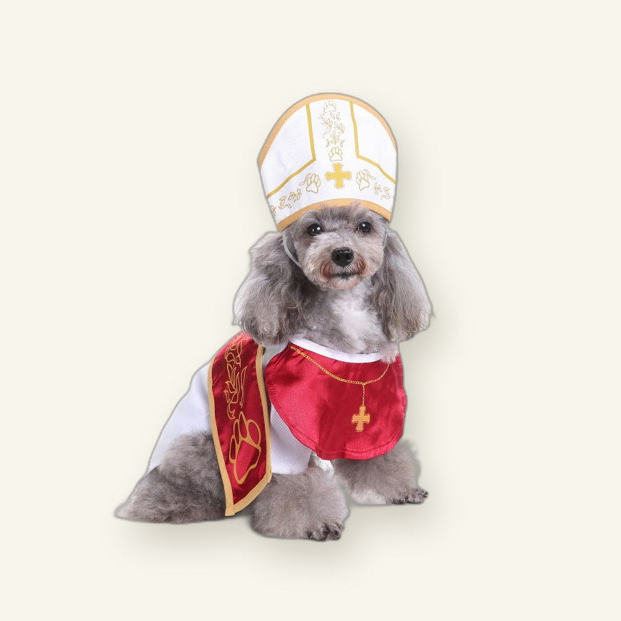 Christmas old man dog clothes
