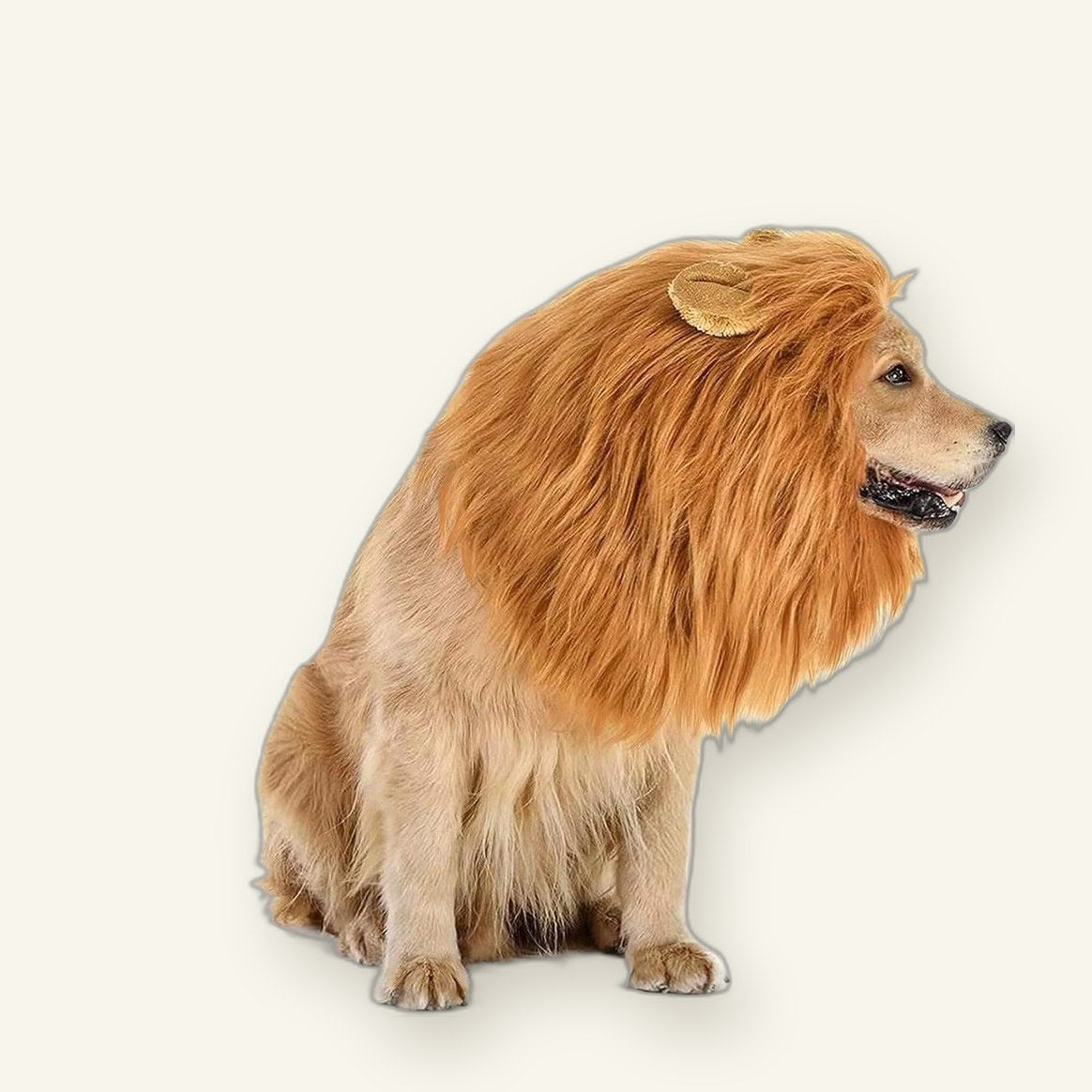 King Of The Jungle Pet Funny Lion Head Cover